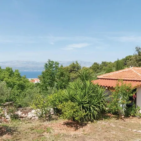 Blossom Dom wakacyjny